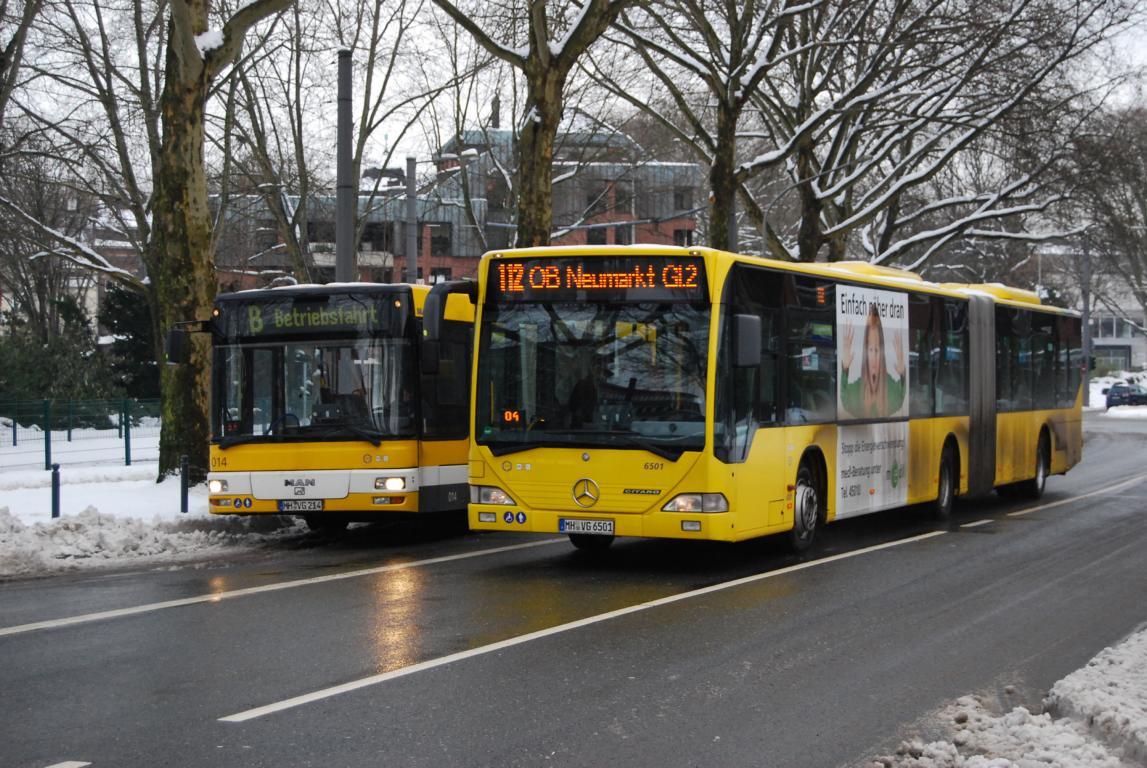 Bild des Monats 01/2011