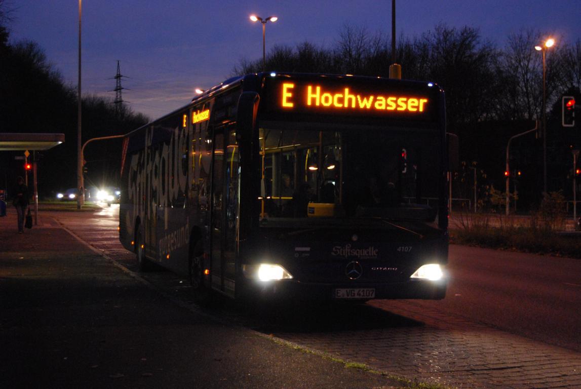 Bild des Monats 11/2010
