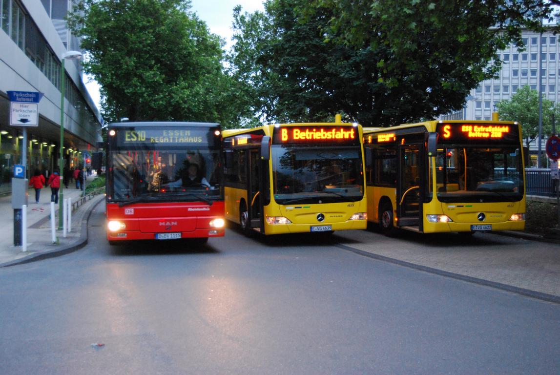 Bild des Monats 07/2010