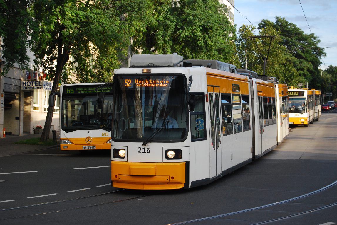 Bild des Monats 12/2009
