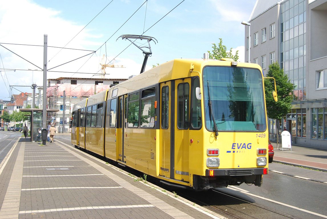 Bild des Monats 08/2009