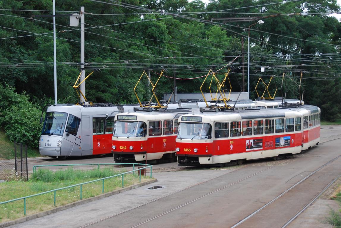 Bild des Monats 08/2010