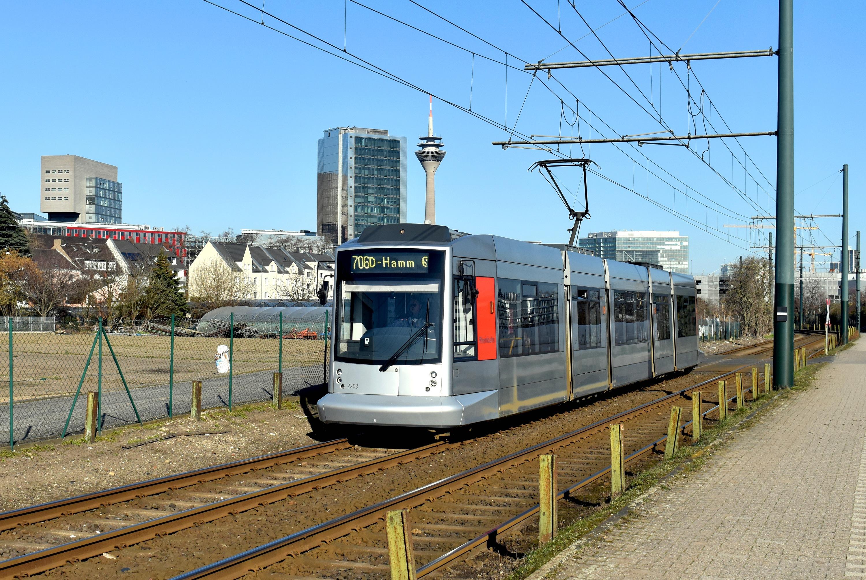 Bild des Monats 03/2026